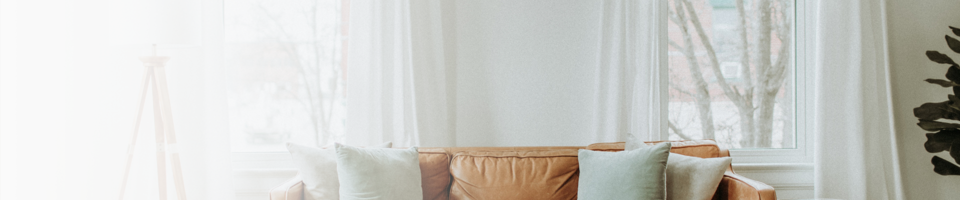 shop banner